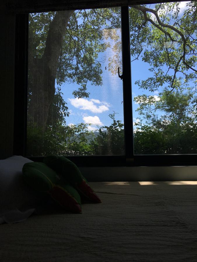 麵包樹舍 Breadfruit B&B Guangfu Exteriör bild
